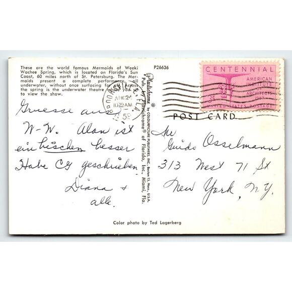 Postcard Weeki Wachee Spring Of The Mermaids Florida Underwater Show Chrome 1959 - Picture 2 of 2